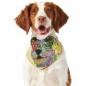 Preview: Hunde Bandana "Hexe"