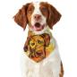 Preview: Hunde Bandana "Jackson"