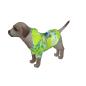 Preview: Hunde Hoodie "Mojito"