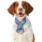 Preview: Hunde Bandana "Prinzessa"