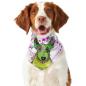 Preview: Hunde Bandana "Roxy"