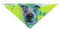 Preview: Hunde Bandana "Sancho"