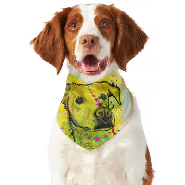 Hunde Bandana "June“