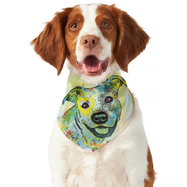 Hunde Bandana "Kiki“