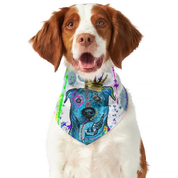 Hunde Bandana "Alec"