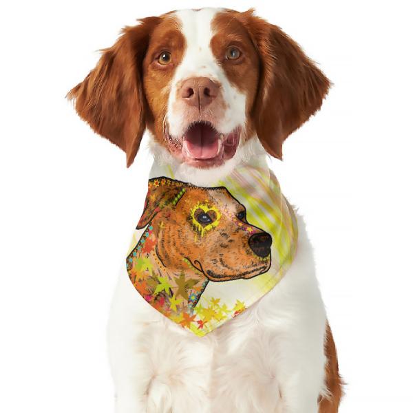 Hunde Bandana "Bumsi"