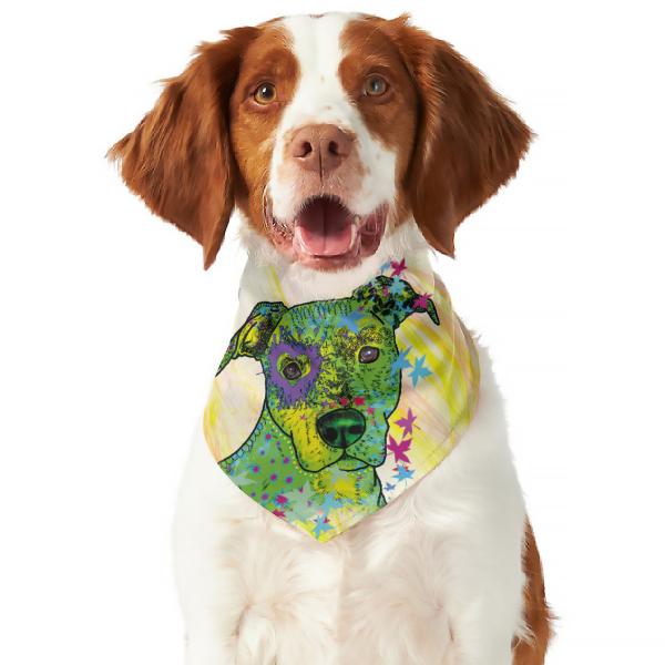 Hunde Bandana "Butch"