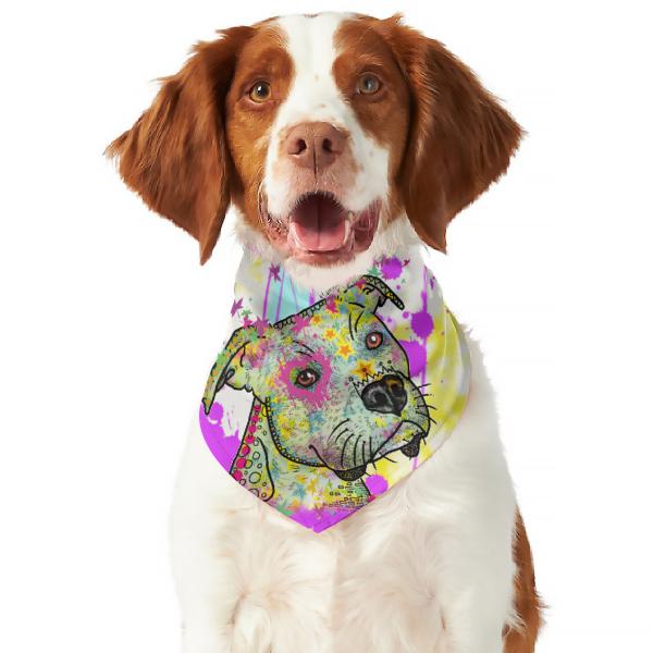 Hunde Bandana "Calli Callmund"