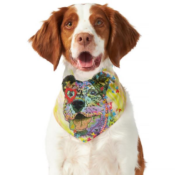 Hunde Bandana "Hexe"