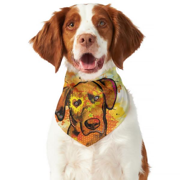 Hunde Bandana "Jackson"