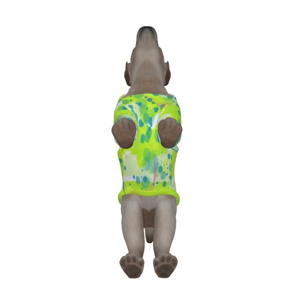 Hunde Hoodie "Mojito"