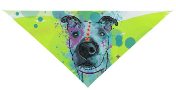 Hunde Bandana "Sancho"